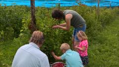 Winery & Herbs Kamperen op een wijnboerderij