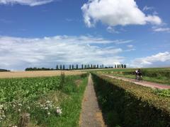 Zo Zuid-Limburg Aan de wandel in Gulpen en Wittem