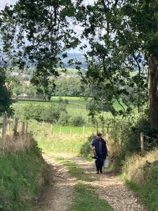 Zo Zuid-Limburg Vijf prachtige wandelroutes + info + twee bomen